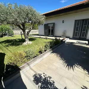 Adriana Alle Pendici Dell'etna Villa